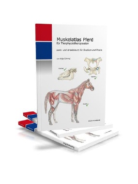 Muskelatlas Pferd (Hardcover)