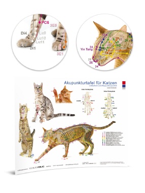 Akupunkturtafel Katze