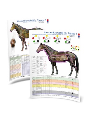 Akupunkturtafel Pferd 1 & 2