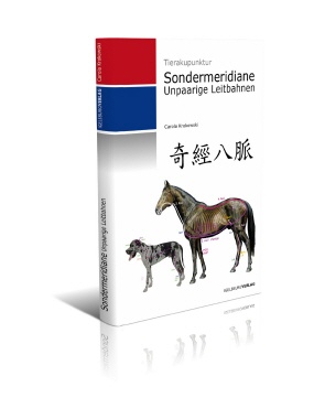 Sondermeridiane - Unpaarige Leitbahnen