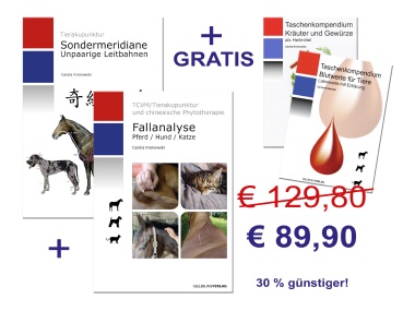 BUNDLE Fortgeschrittene THP�s