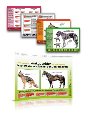 Lernkalender Pulsqualit&auml;ten