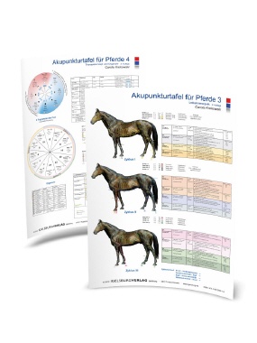 Akupunkturtafel Pferd 3 & 4
