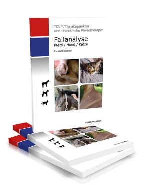 Fallanalyse (vet)
